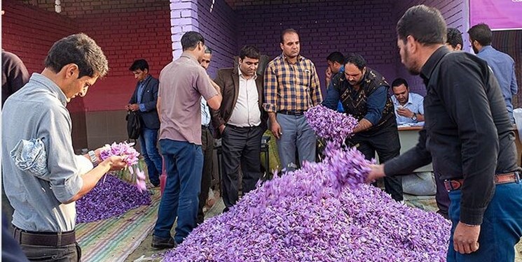 نیمی از ارزش طلای سرخ ایران در جیب سوداگران