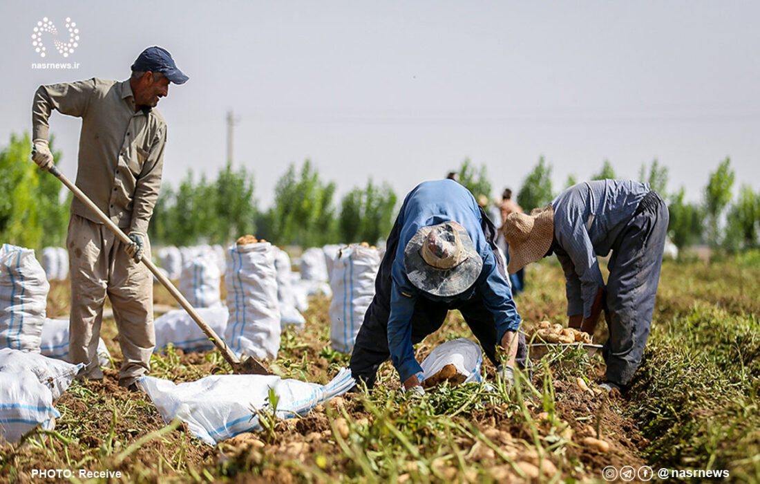 طرح حمایتی بخشودگی عام 6 درصد وجه التزام بدهی کشاورزان آذربایجان شرقی