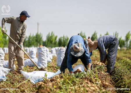 طرح حمایتی بخشودگی عام 6 درصد وجه التزام بدهی کشاورزان آذربایجان شرقی