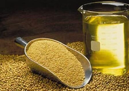 2 کالای اساسی برنج و روغن مشمول ارز ترجیجی شد