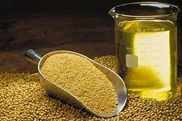 2 کالای اساسی برنج و روغن مشمول ارز ترجیجی شد