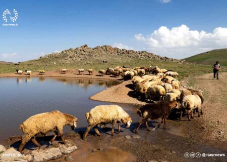 عشایر آذربایجان‌ شرقی از چرای دام و تردد در حاشیه رودخانه‌ها خودداری کنند