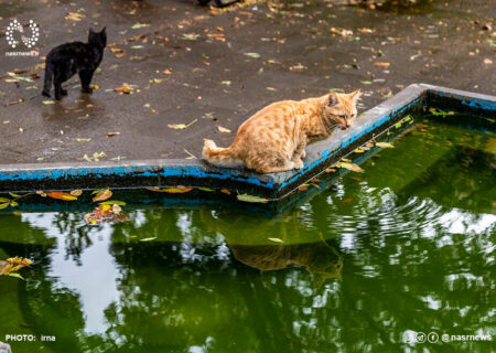 کاهش ۷۴.۵ درصدی بارش در آذربایجان‌شرقی