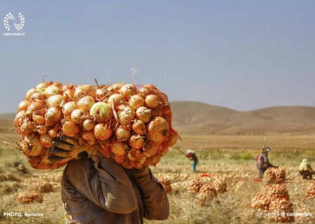 هشدار به کشاورزان آذربایجان شرقی/ سرما در راه است محصولات را سریع برداشت کنید