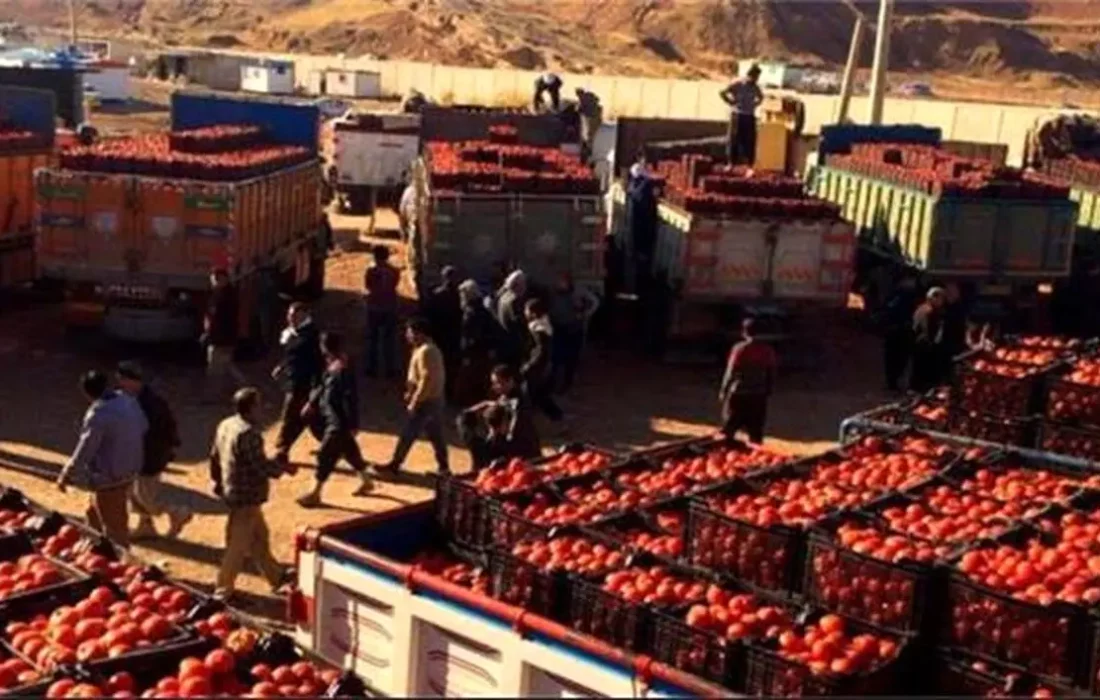 علت برگرداندن گوجه‌های ایران از عراق اعلام شد