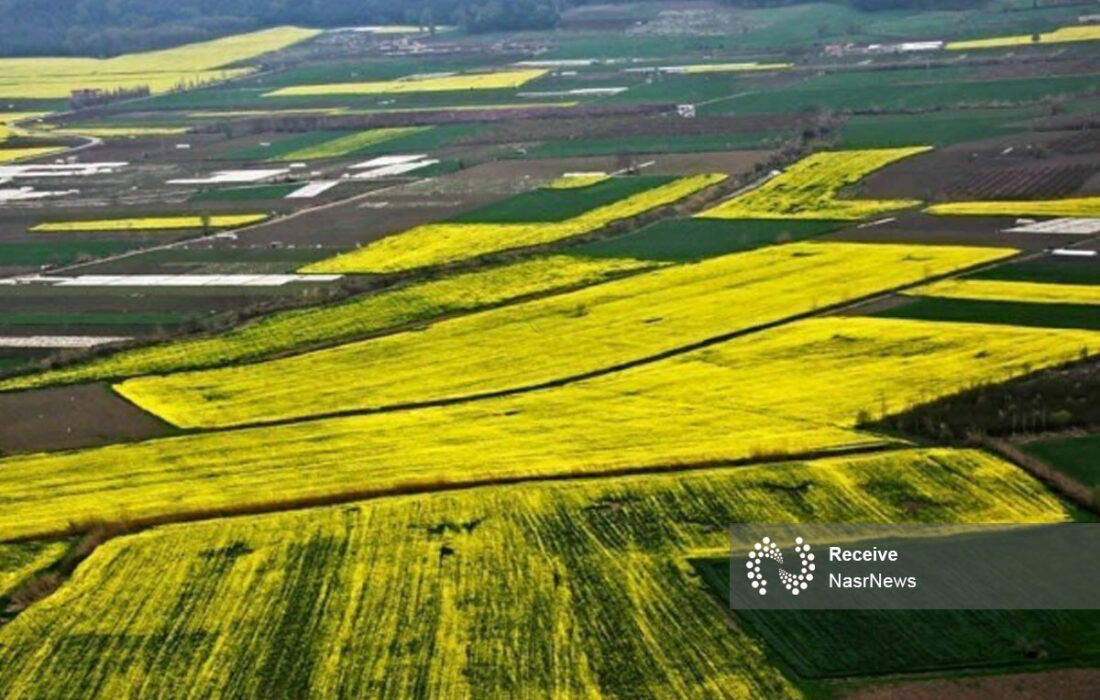 کاهش ۳۴ درصدی بارش‌ ها در آذربایجان شرقی/ کشاورزان برای بیمه محصولات اقدام کنند