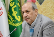 پیش‌بینی خرید ۵۰۰ هزار تن گندم در آذربایجان‌شرقی