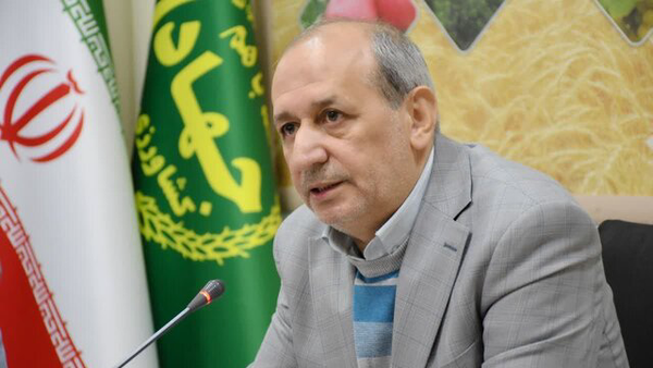 پیش‌بینی خرید ۵۰۰ هزار تن گندم در آذربایجان‌شرقی