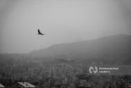 تعطیلی مدارس آذربایجان شرقی، ادارات، دانشگاه ها و بانک های تبریز